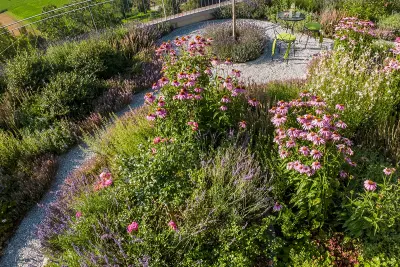 Blumenmeer, resistente Staudenmischung, Rot-Rosa