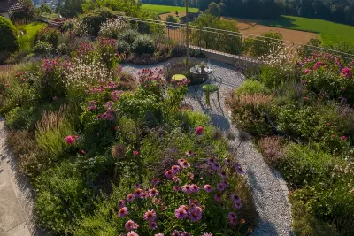 Blumenmeer, resistente Staudenmischung, Rot-Rosa