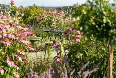 Blumenmeer, resistente Staudenmischung, Rot-Rosa