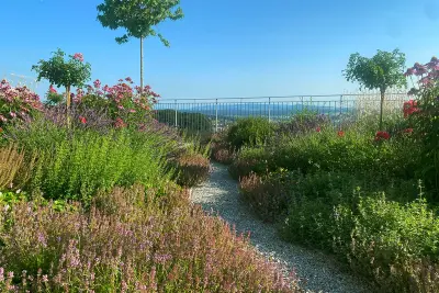 Blumenmeer, resistente Staudenmischung, Rot-Rosa